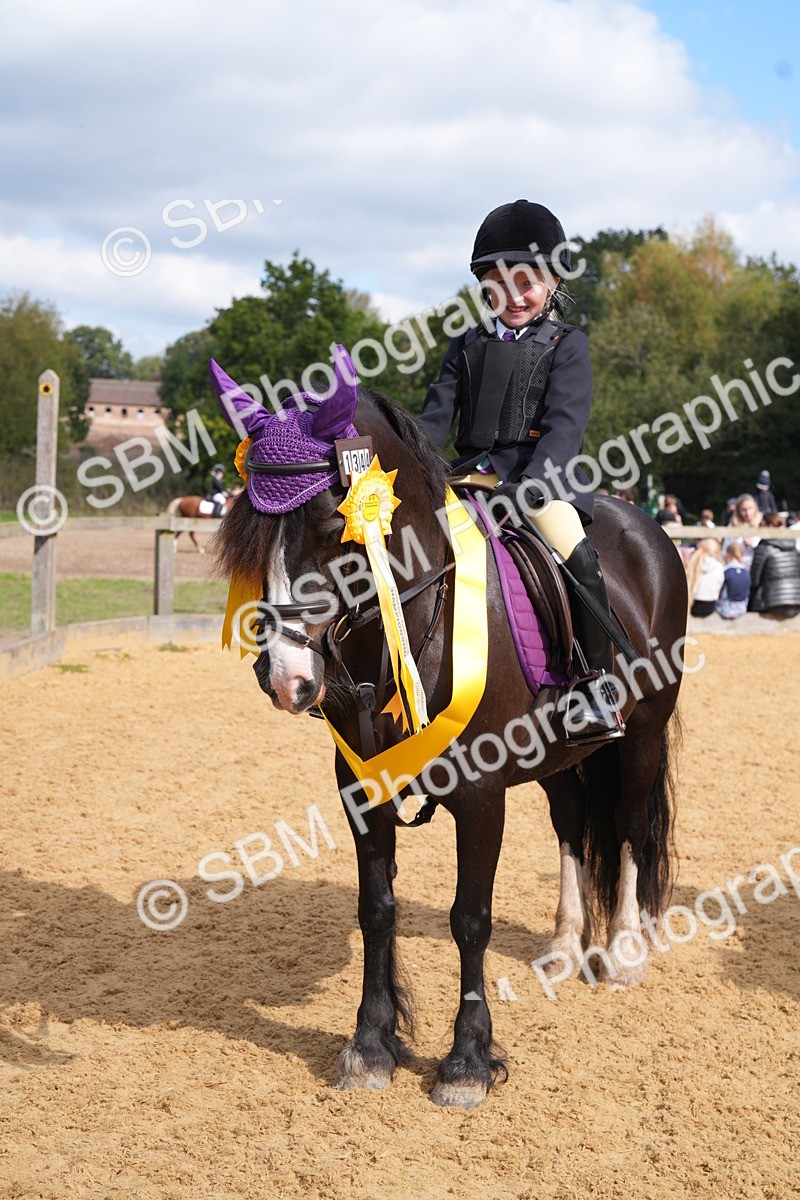 SBM_64517 - J2 - Mini Tour Junior Pony 30cm Championship