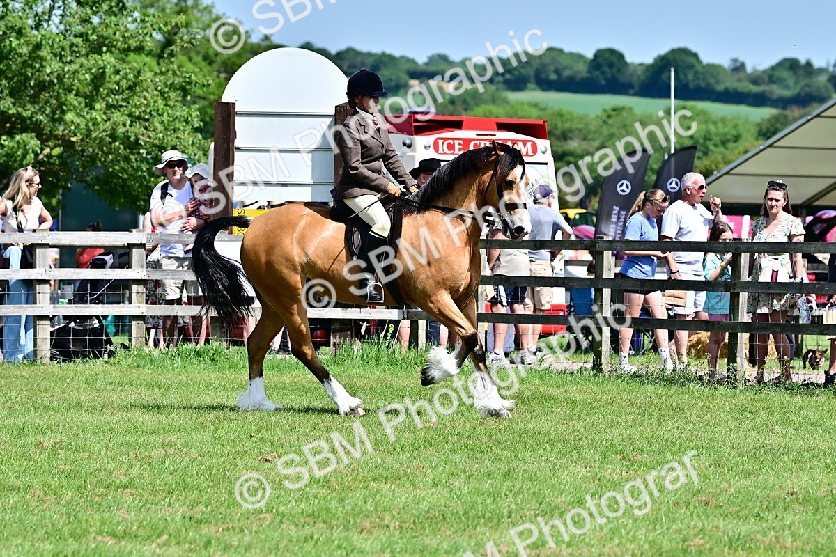 SBM_08007 - Class 61-62 - TSR  M&M Ridden Amateur of the Year