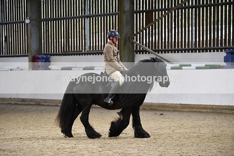 WJ5_8605 - Class 14 Novice Ridden/Rider