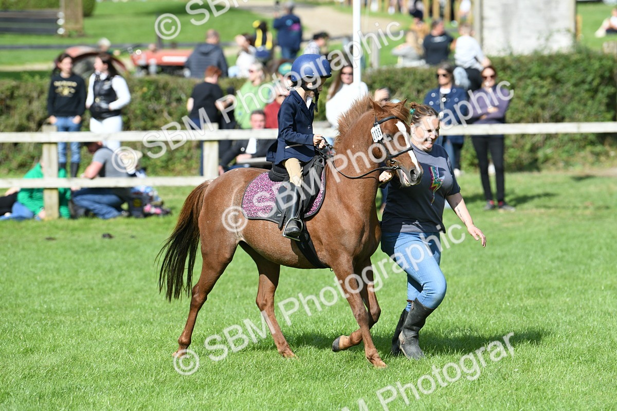 SBM_47153 - S12 - Family Horse & Pony