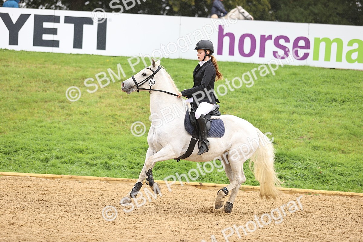 SBM_73390 - J19 - Junior Horse & Pony 90cm Supreme championship