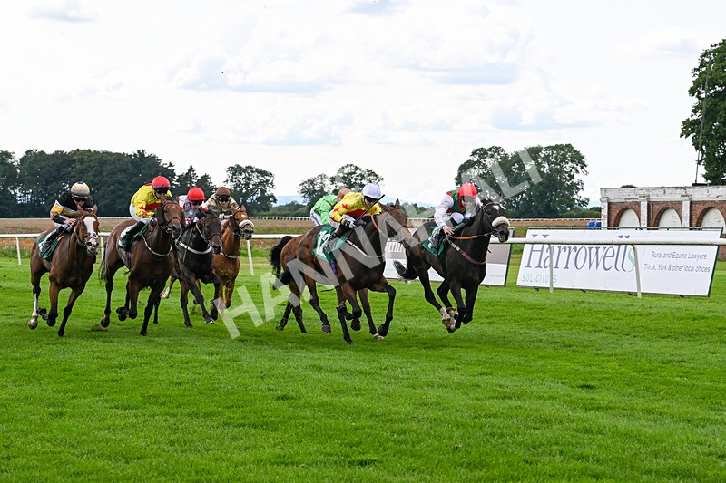 170724-Race 5-Abruzzo Mia-0237 - Race 5