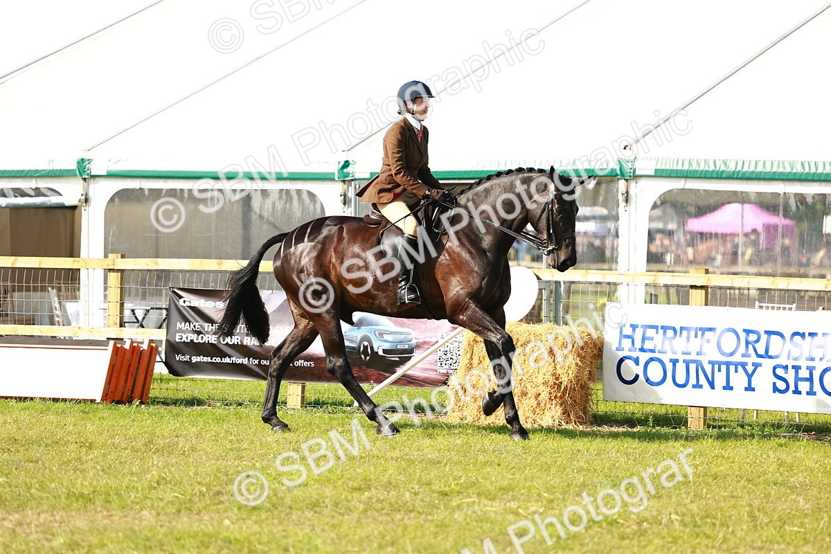 SBM_10891 - Class 66-69 - RIHS Ridden Hunters Inc Small Hunter