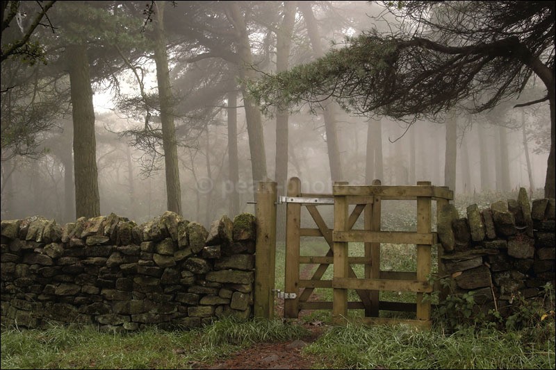 Gate to Blacka Moor - Photographs of Woodland & Rivers