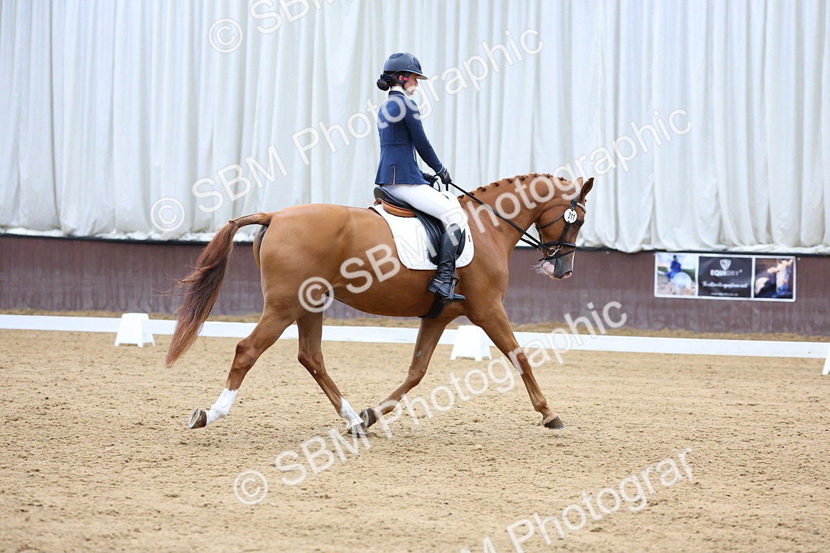 SBM_002408 - Novice 2