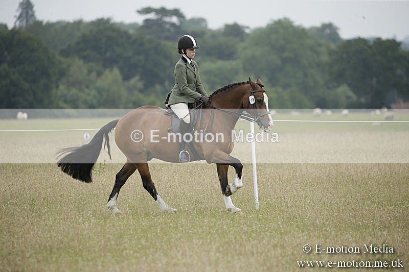 B230619-0311 - Bourne Valley Riding Club Summer Show 23/06/19