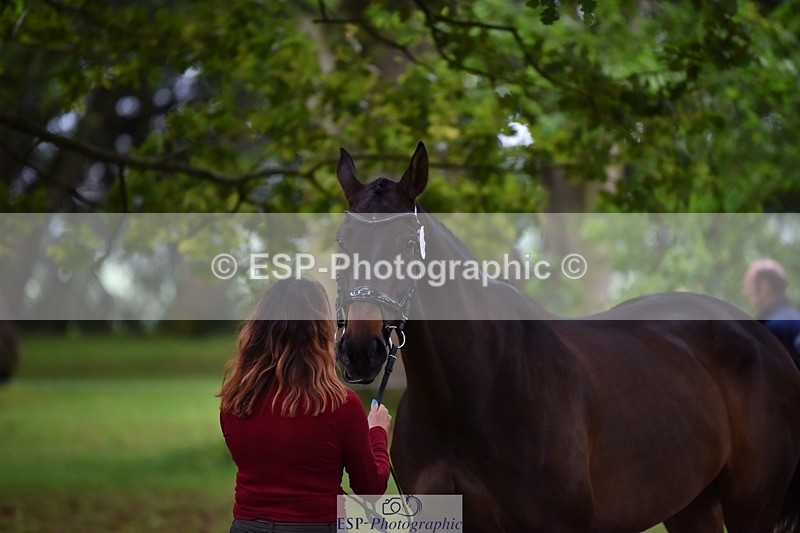 240522-171240-01454 - 254-KILBUNNY_RIOJA-Kate_Penny