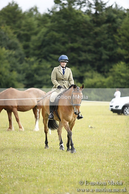 BVR160717-278 - Ring 1 BVRC Show 16/07/17