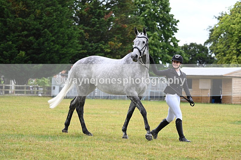 WJ7_6007 - Class 4a Prettiest Mare over 14hh