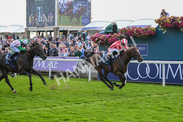 230824-Race 4-Bradsell-9424 - Race 4 3.35pm Coolmore Wootton Bassett Nunthorpe Stakes
