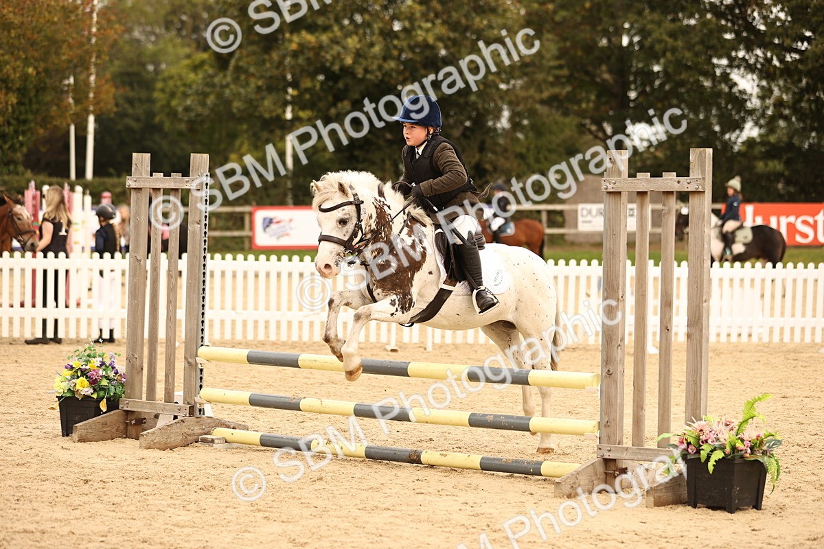 SBM_72483 - J14 - Junior Pony 65cm Championship
