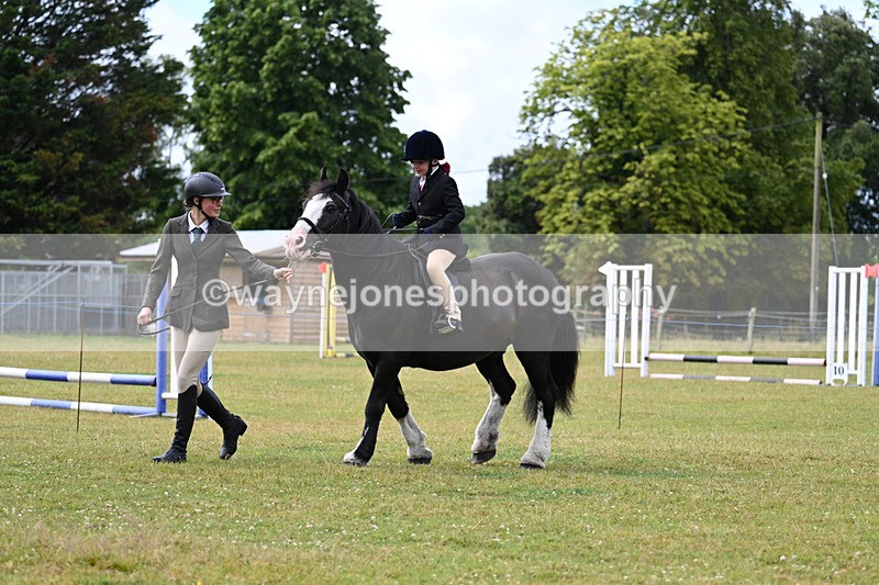 WJ7_4616 - Class 1 Lead Rein Pony