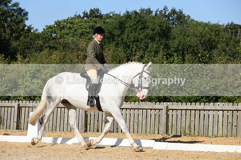 1X9A7713 - Class 9: Open Ridden Hunter