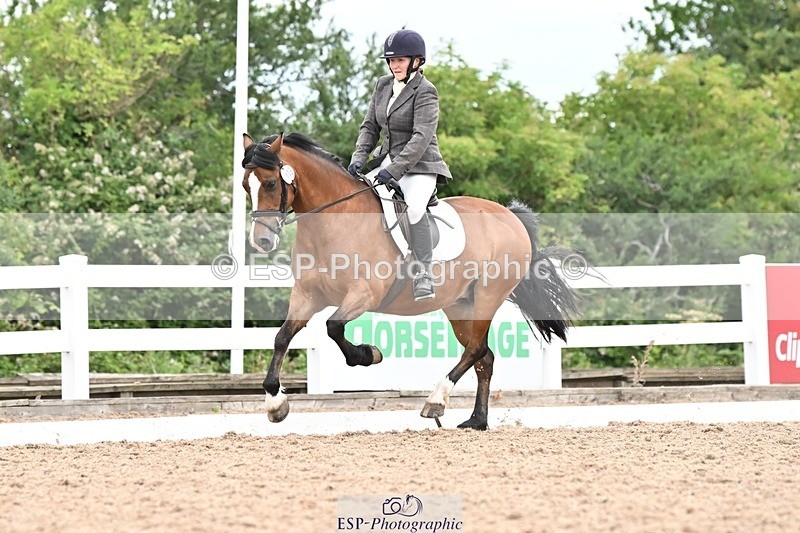 250705-175538-04484 - N2 Section BDNOV2 16.29 to 17.46