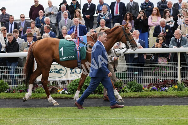 yr13052022r4-15 - Race 4 3.35pm The Paddy Power Yorkshire Cup (British Champions Series Race)