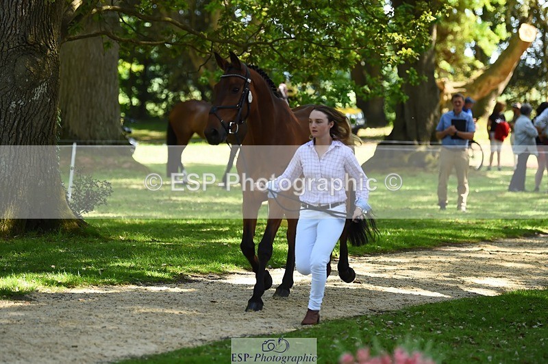 230524-152730-00278 - 329-VINTAGE_GRAFFITI-Alice_Hallows-WEDTrotUp+DR