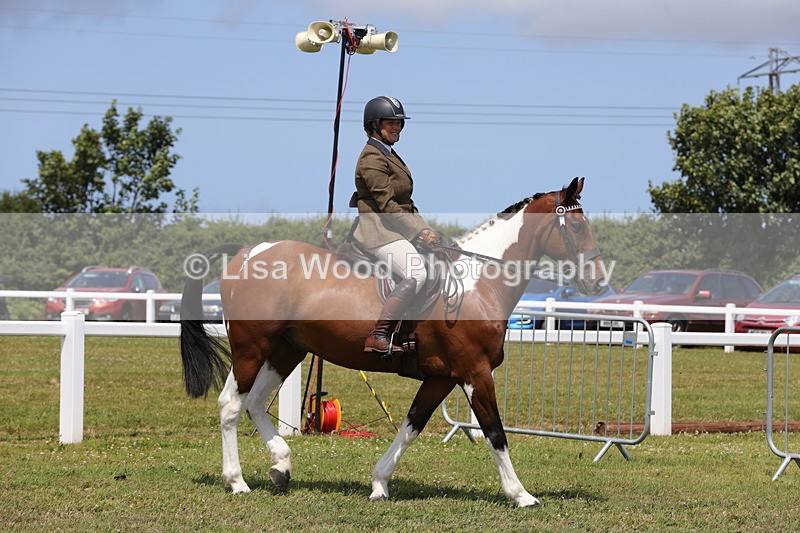 1X9A4257 - Class 34: Veteran Ridden