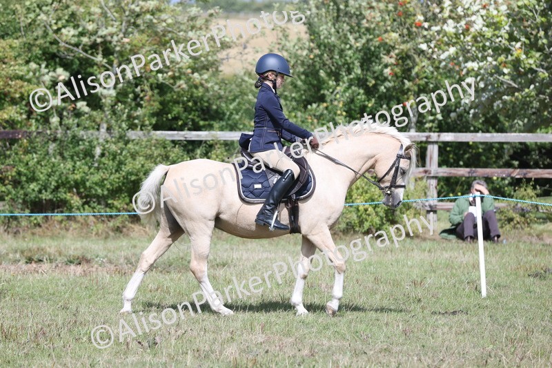 20250831-2793 - Class 18 - Childs First Pony