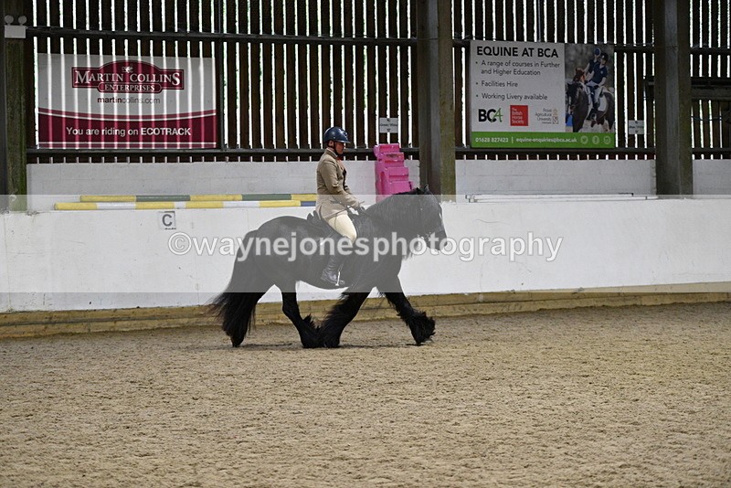 WJ5_8618 - Class 14 Novice Ridden/Rider