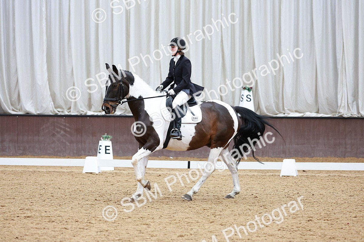 SBM_002993 - Class 14 - Novice 2
