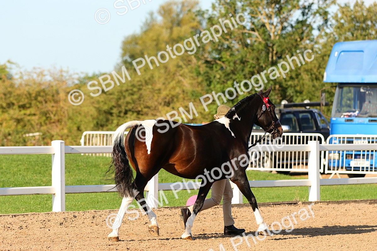 SBM_08007 - Class 201 - Best Turned Out - IH