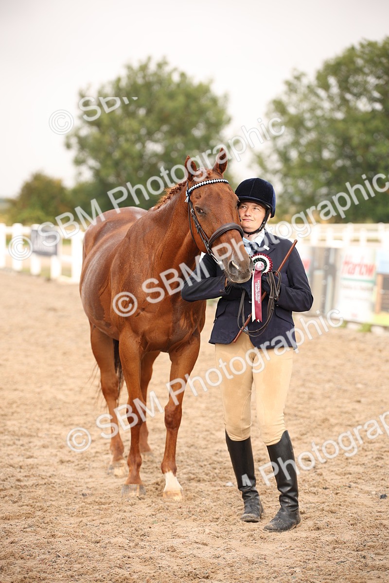 SBM_20743 - Class 705 - IH  Combination 65+