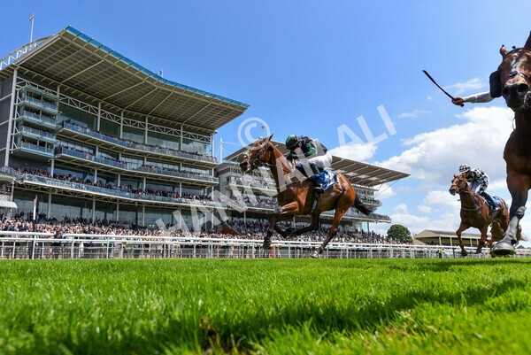 yr10062022r1-23 - Race 1 2.00pm Constant Security Gentlemen Amateur Riders Stakes