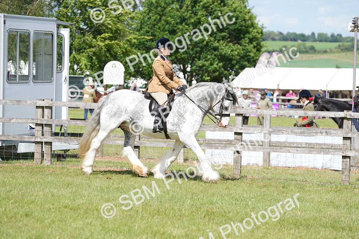 SBM_17108 - Class 107-108 - LIHS BSPS Performance Coloured Horse Pony