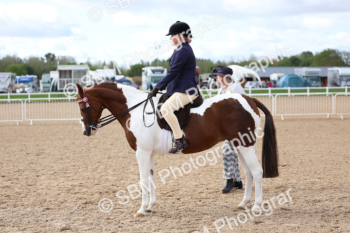 SBM_10062 - Class 304 - Ridden Part Bred Horse Pony