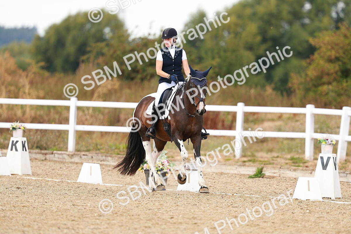 SBM_018673 - Class 9 - N5 Bronze 11.57.13.07