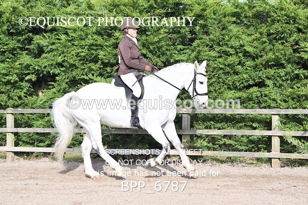 BPP_6787 - RING 1  (RIDDEN HORSES / IN HAND / VETERAN ETC)