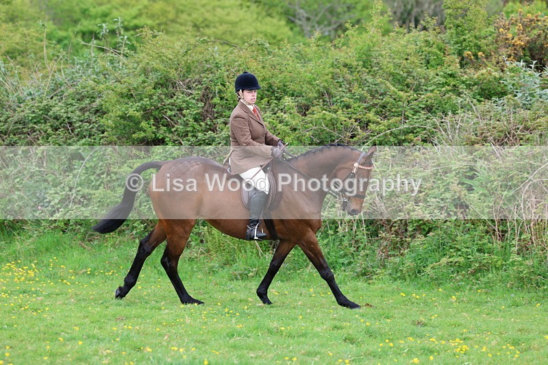 3E7A1447 - Class 8: Ridden Veteran Junoir and Senior