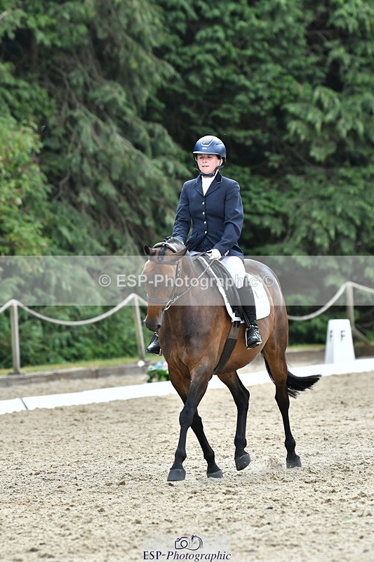 260801A-124932-04062 - Prelim Bronze Break - End
