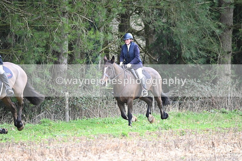 WJ6_9728 - Line Four