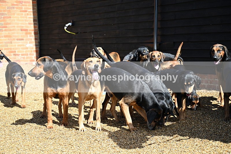 WJ7_7099 - Berks & Bucks at Blandy’s Farm 31-08-25