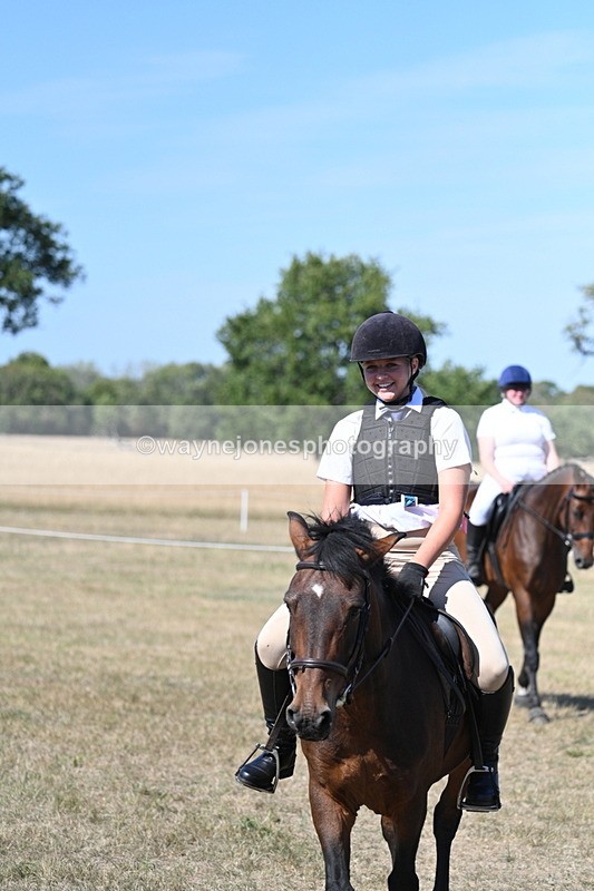WJ7_1513 - Class 42 Most Handsome Gelding