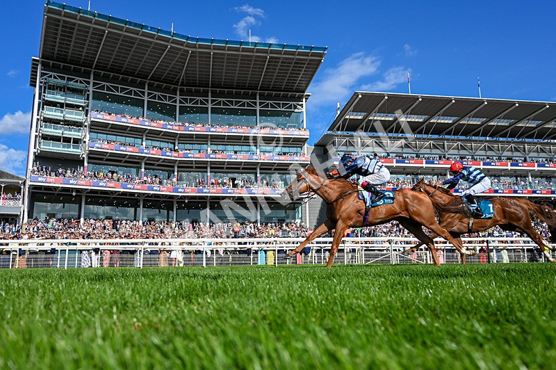 220826-Race 6-Sale Shark-5830 - Race 6 16.45pm Julia Graves Roses Stakes