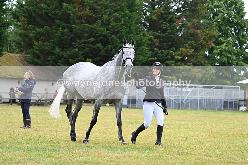 WJ7_6001 - Class 4a Prettiest Mare over 14hh