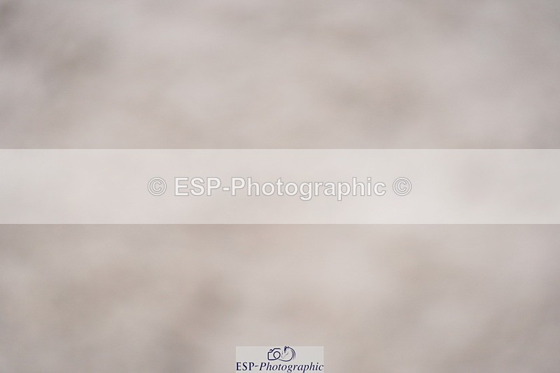 230924A-110910-04526 - 100 SJ 11.00 to 12.00