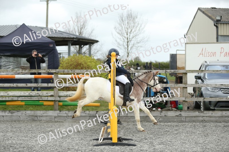20260412-0677 - Show Jumping