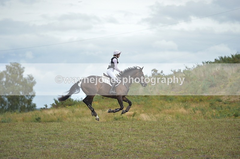 NGP_3988 - XC Time 12:36 to 12:57