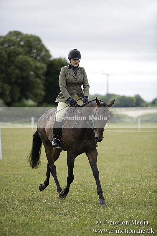 BVR160717-453 - Ring 1 BVRC Show 16/07/17