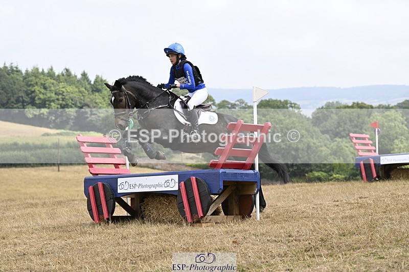 250824A-125822-36577 - 2053-Ava.Sampson-Chameleon