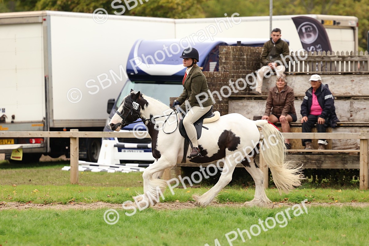 SBM_64636 - S58 - Coloured Pony Ridden