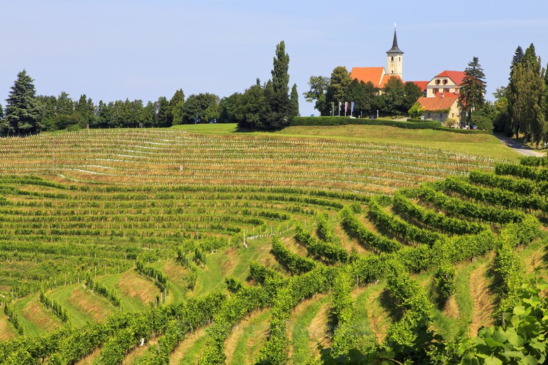 Jeruzalem - Slovenia and Tuscany