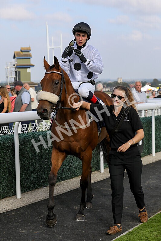 310824-Race 7-Zapphire-2179 - Race 7