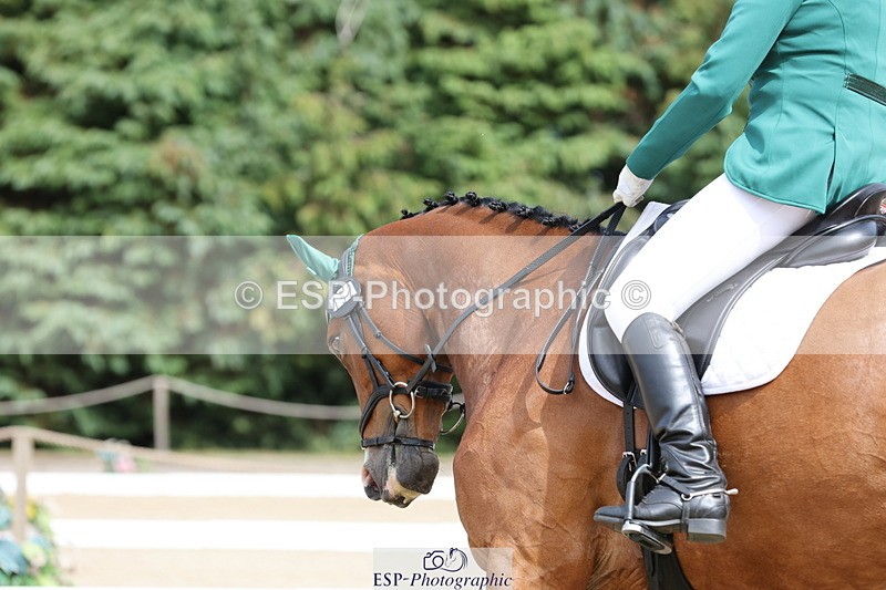 250718A-152815-02576 - 152-Tracy.OKennedy-Wylye.Harlequin