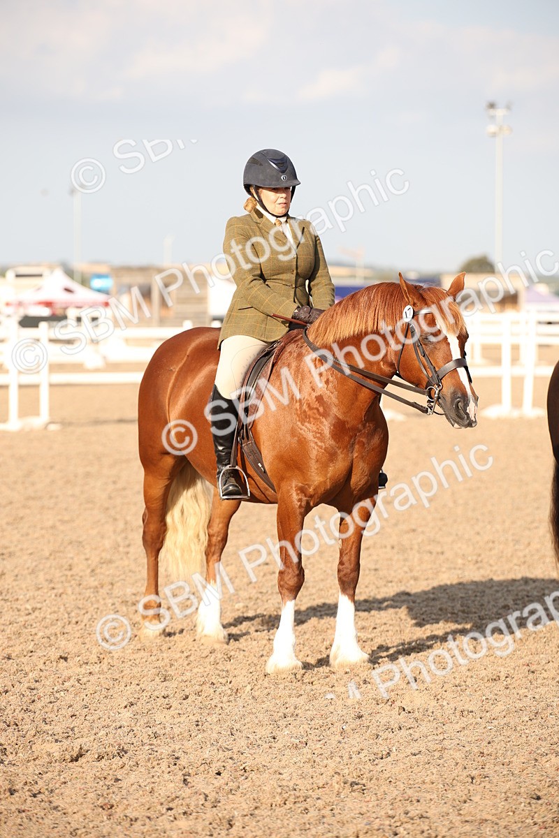 SBM_09213 - Regional Ridden Champ