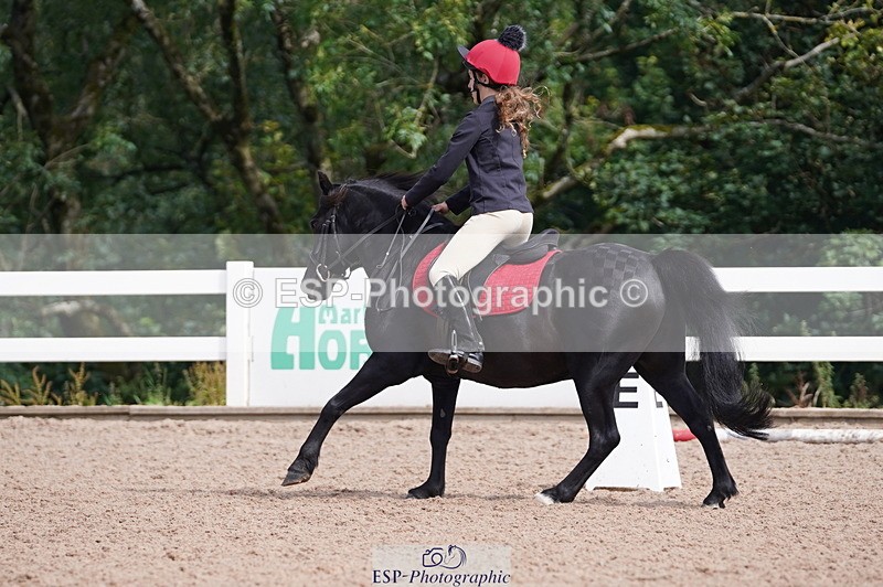 240809A-102506-00532 - Dressage Competition
