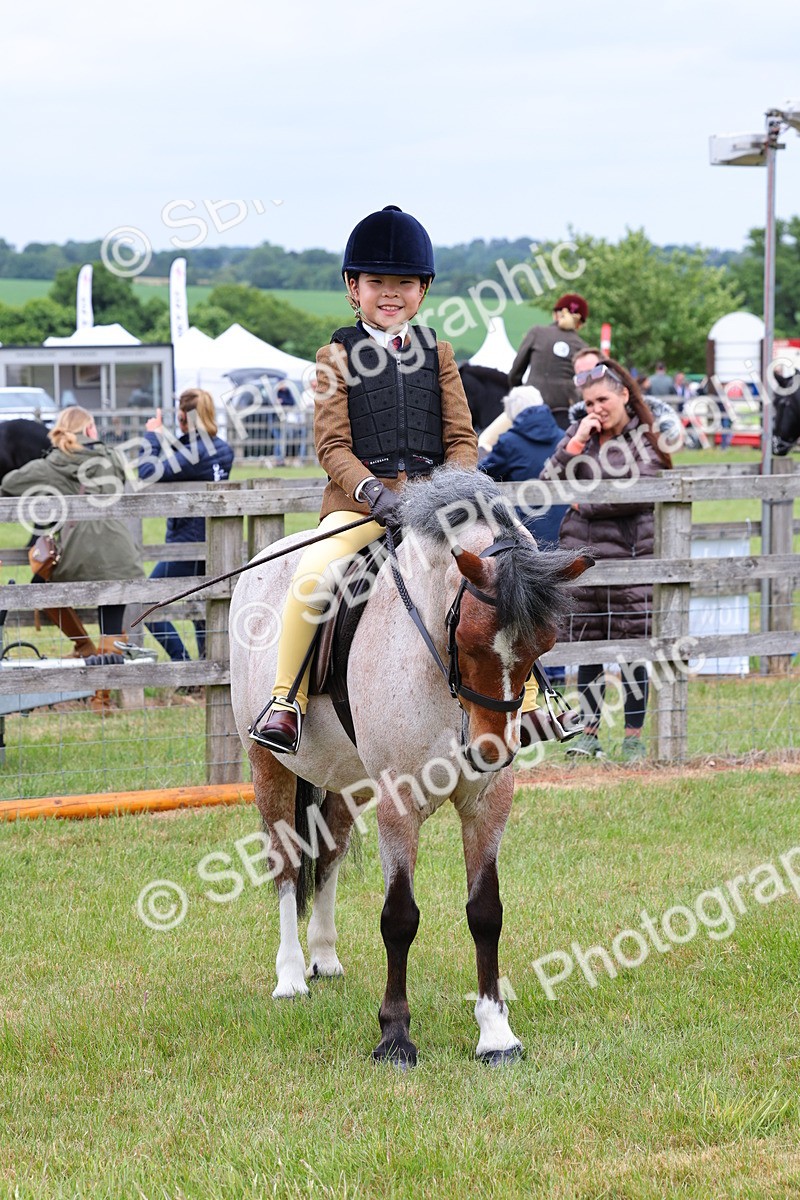 SBM_08785 - Class 42-43 - LIHS BSPS Heritage Working Sports Pony